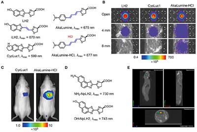 Self-Illuminating Agents for Deep-Tissue Optical Imaging